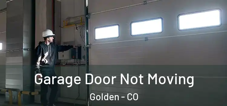  Garage Door Not Moving Golden - CO