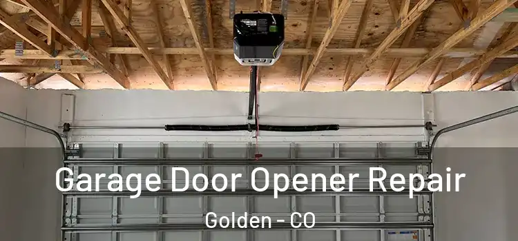  Garage Door Opener Repair Golden - CO