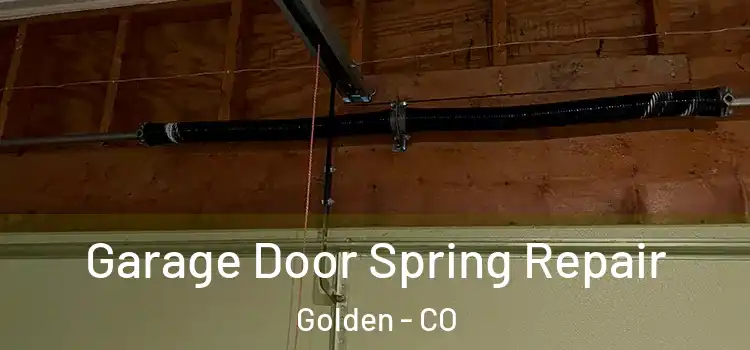  Garage Door Spring Repair Golden - CO