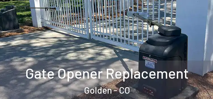  Gate Opener Replacement Golden - CO