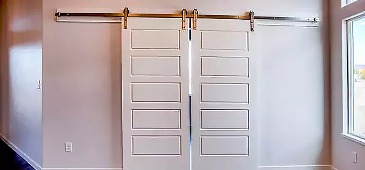 Glass Barn Door with Installation Hardware Kit Golden