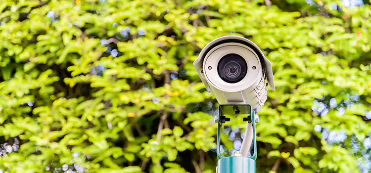 Advanced Surveillance Solutions for Every Need in Golden